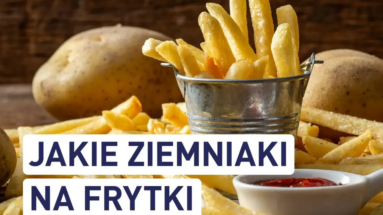 Jakie ziemniaki na frytki belgijskie? Sekret chrupkości!
