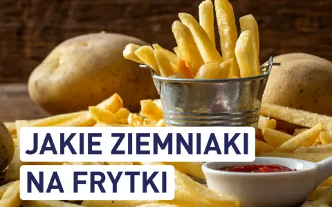 Jakie ziemniaki na frytki belgijskie? Sekret chrupkości!
