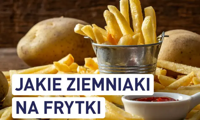 Jakie ziemniaki na frytki belgijskie? Sekret chrupkości!